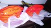 IMG-20171015-WA0002.jpeg